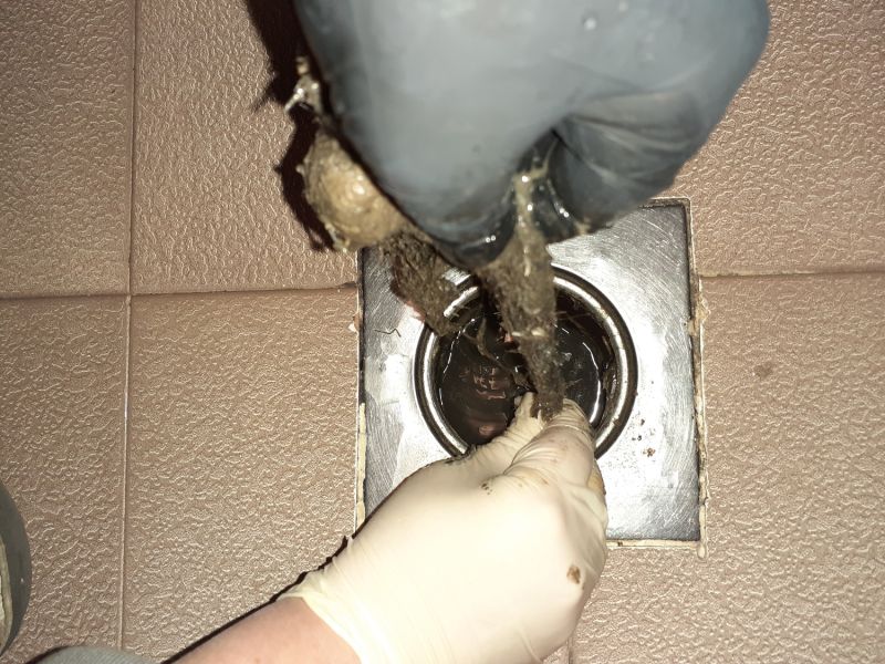 Basement Drain Clearing in Columbus, OH