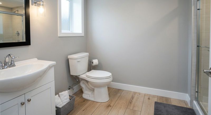 Basement Toilet Installation in Denver, CO