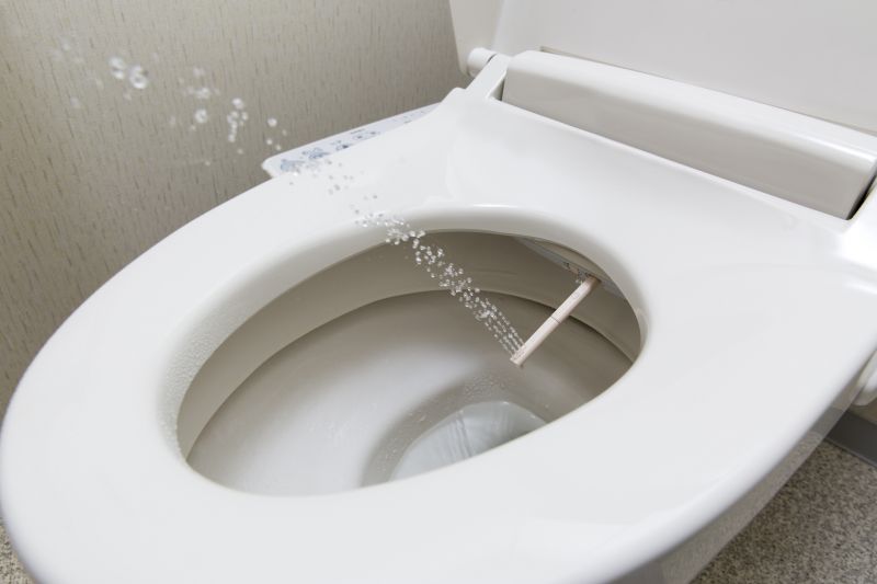 Bidet Repair Service in Columbus, OH
