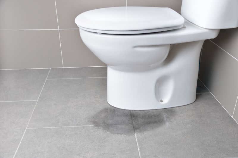 Leaking Toilet Repair