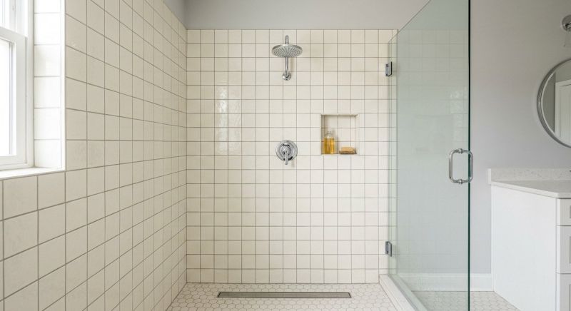 Leaky Shower Repair in Denver, CO