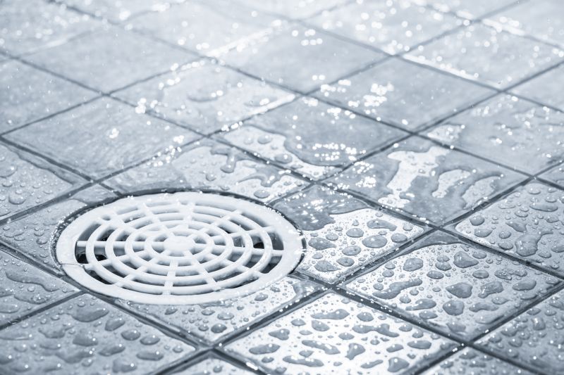 Shower Drain Repair in Denver, CO