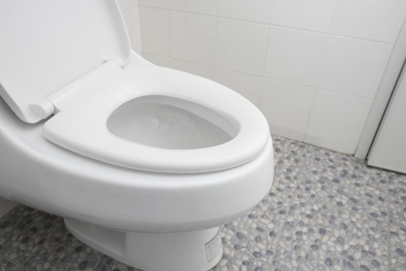 Toilet Installation Service in Denver, CO