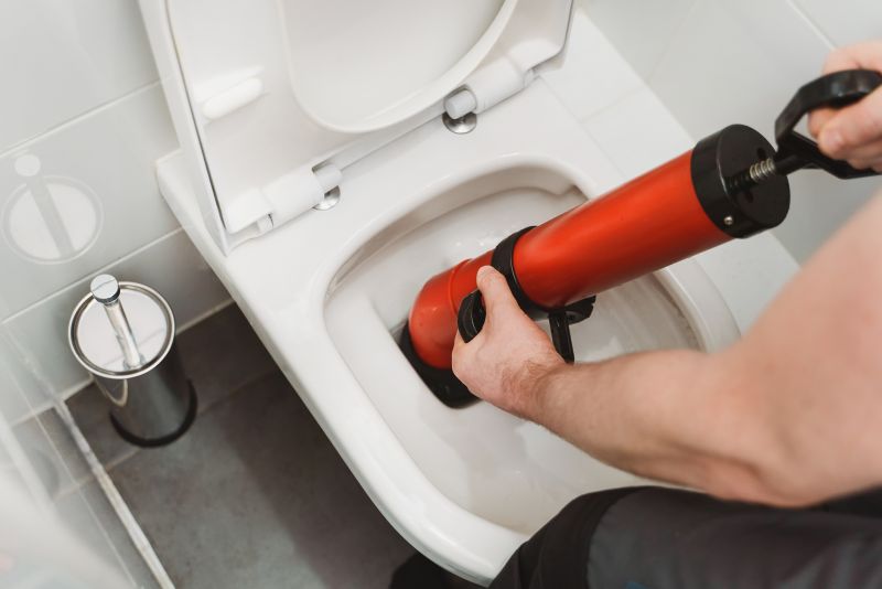 Toilet Plunging in Denver, CO