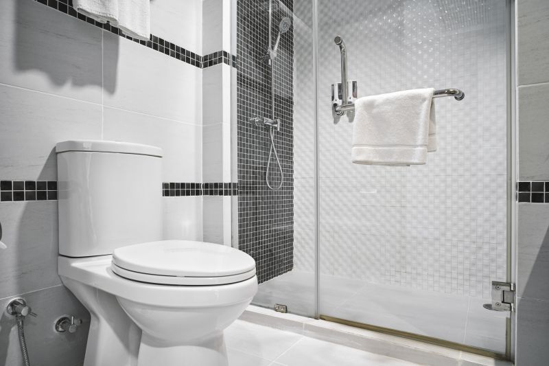Toilet Repair in Denver, CO