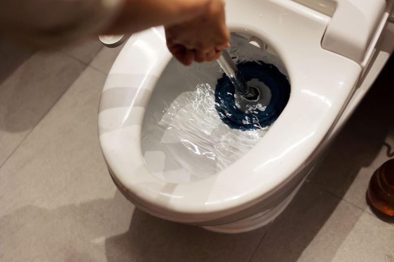 Toilet Snaking in Denver, CO