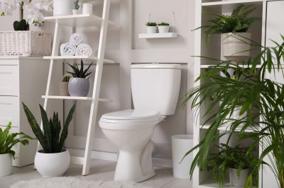Toilet Tank Repair in Denver, CO