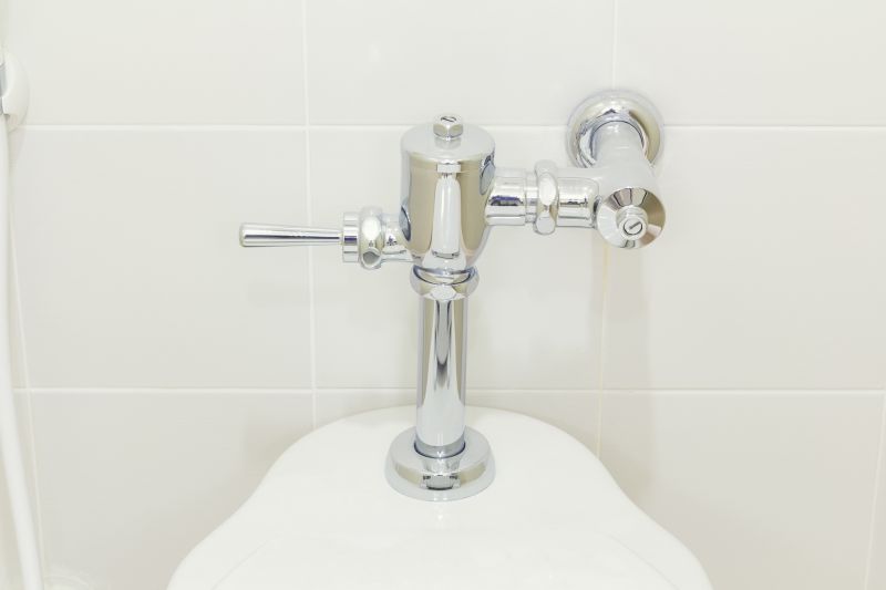 Toilet Valve Replacement in Denver, CO